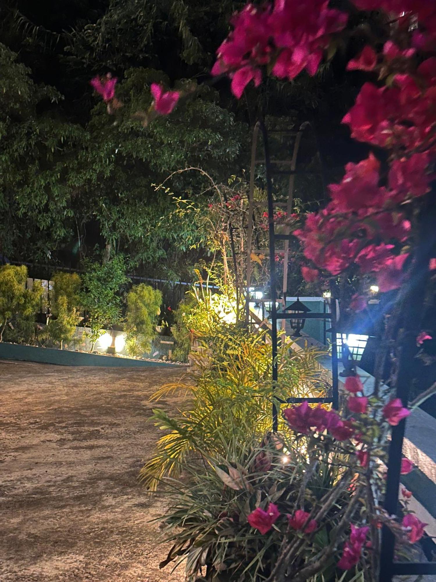 Abc Guest Inn & Restaurant ハプタレー エクステリア 写真